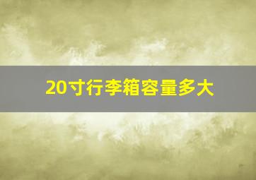 20寸行李箱容量多大