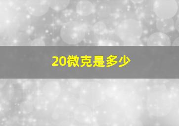 20微克是多少