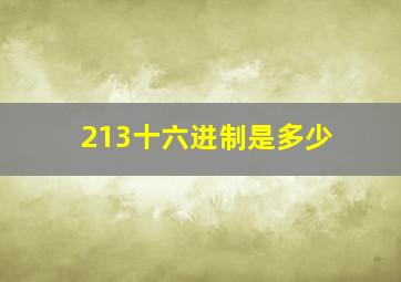 213十六进制是多少