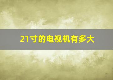 21寸的电视机有多大