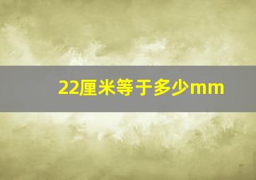 22厘米等于多少mm