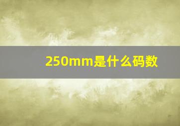 250mm是什么码数