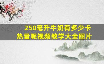 250毫升牛奶有多少卡热量呢视频教学大全图片