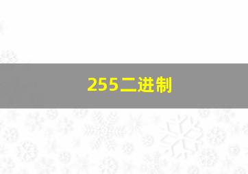 255二进制