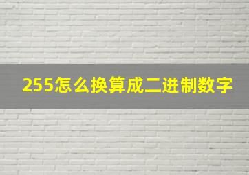 255怎么换算成二进制数字