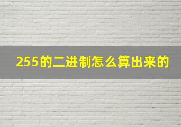 255的二进制怎么算出来的