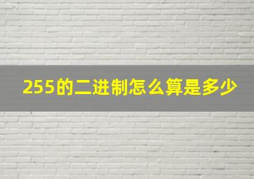 255的二进制怎么算是多少