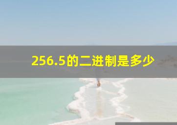 256.5的二进制是多少