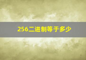 256二进制等于多少