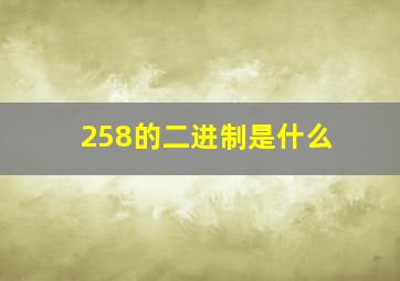 258的二进制是什么