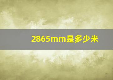 2865mm是多少米