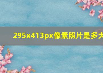 295x413px像素照片是多大