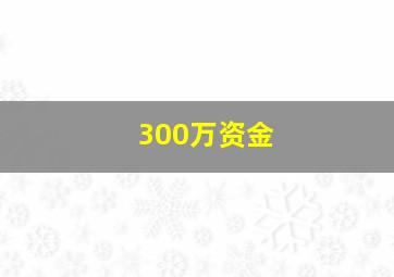 300万资金