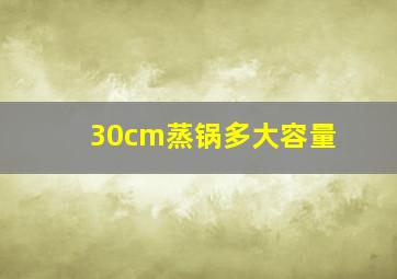 30cm蒸锅多大容量