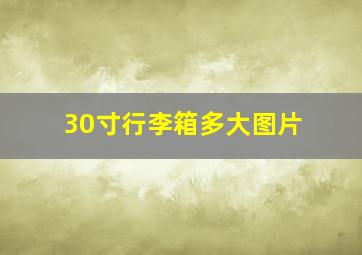 30寸行李箱多大图片