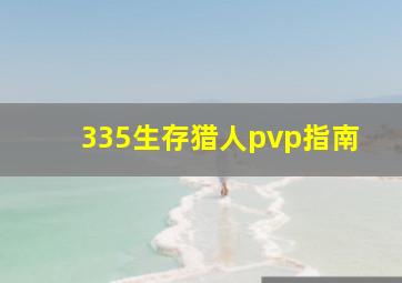 335生存猎人pvp指南