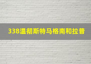 338温彻斯特马格南和拉普