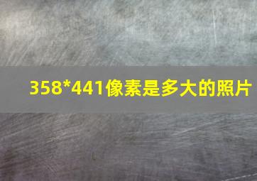 358*441像素是多大的照片