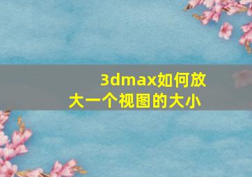 3dmax如何放大一个视图的大小