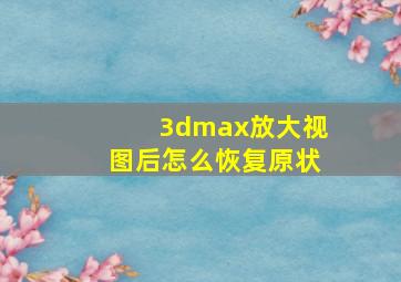 3dmax放大视图后怎么恢复原状