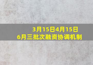 3月15日4月15日6月三批次融资协调机制