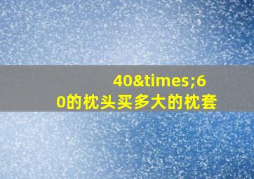 40×60的枕头买多大的枕套