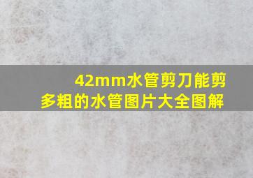 42mm水管剪刀能剪多粗的水管图片大全图解