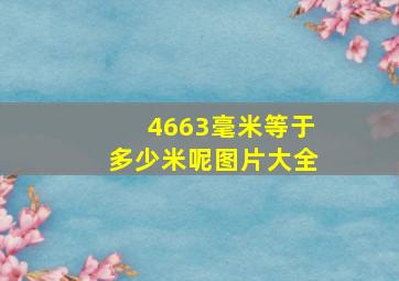 4663毫米等于多少米呢图片大全