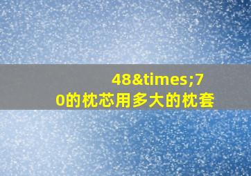 48×70的枕芯用多大的枕套