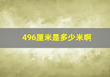 496厘米是多少米啊