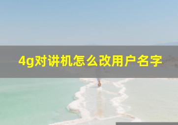 4g对讲机怎么改用户名字