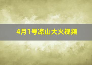 4月1号凉山大火视频