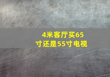 4米客厅买65寸还是55寸电视