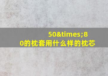 50×80的枕套用什么样的枕芯