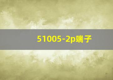 51005-2p端子