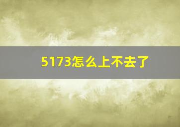 5173怎么上不去了