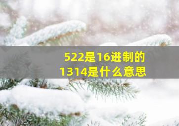 522是16进制的1314是什么意思