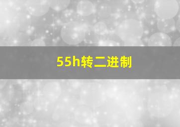 55h转二进制