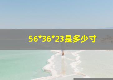 56*36*23是多少寸