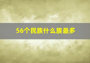 56个民族什么族最多