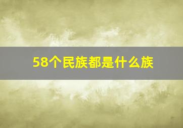 58个民族都是什么族