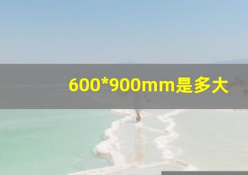 600*900mm是多大