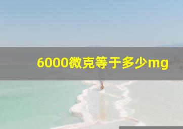 6000微克等于多少mg