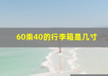 60乘40的行李箱是几寸