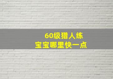 60级猎人练宝宝哪里快一点