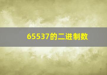 65537的二进制数