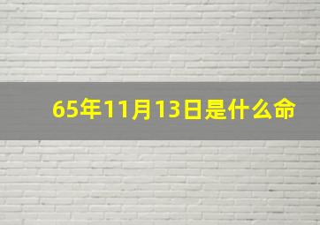 65年11月13日是什么命