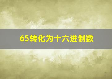 65转化为十六进制数