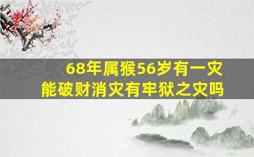 68年属猴56岁有一灾能破财消灾有牢狱之灾吗