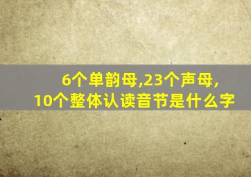 6个单韵母,23个声母,10个整体认读音节是什么字